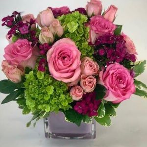 Meet your Posher, Caryn